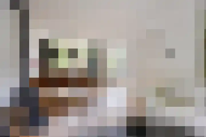Stokroosstraat 5 Eindhoven thumbnail 5