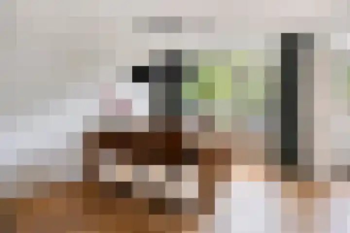Stokroosstraat 5 Eindhoven thumbnail 7