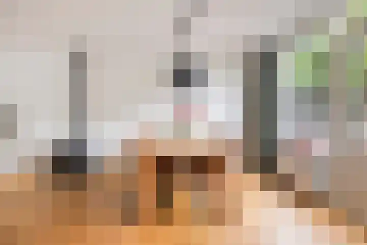 Stokroosstraat 5 Eindhoven thumbnail 8