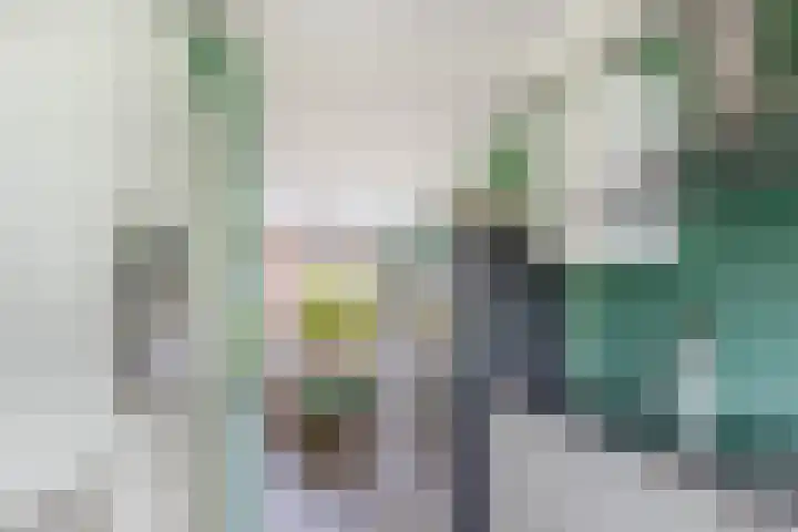 Stokroostuin 39 Zoetermeer thumbnail 15