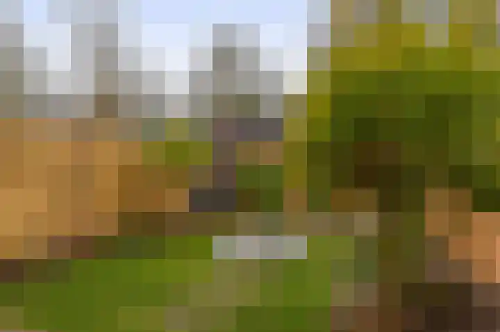 Stokroostuin 39 Zoetermeer thumbnail 17