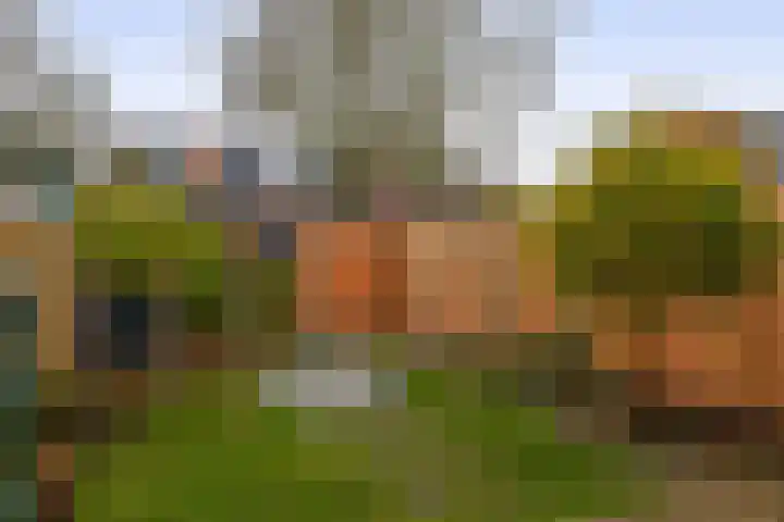 Stokroostuin 39 Zoetermeer thumbnail 18