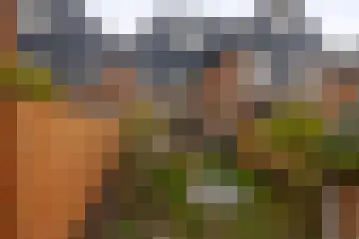 Stokroostuin 39 Zoetermeer thumbnail 20