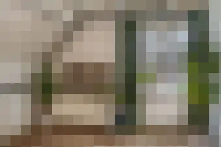 Stokroostuin 39 Zoetermeer thumbnail 31