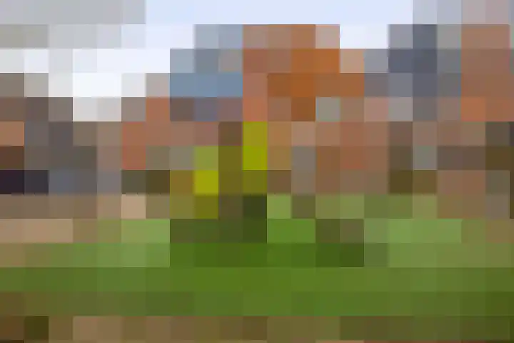 Stokroostuin 39 Zoetermeer thumbnail 34