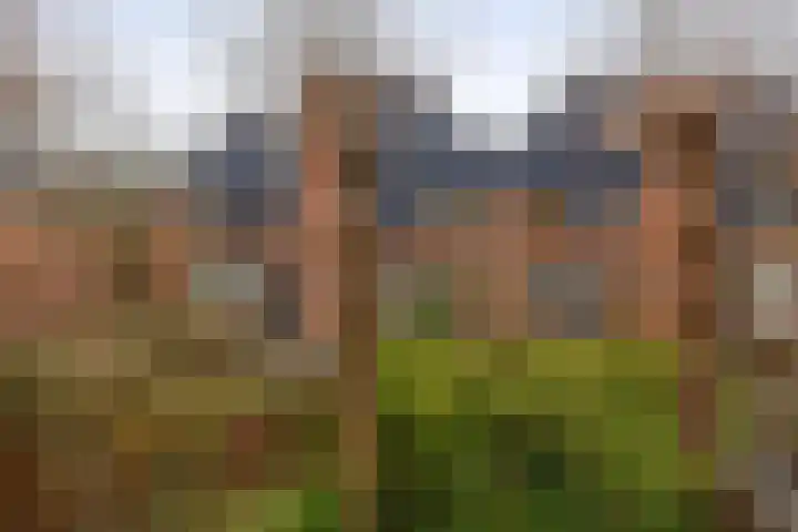 Stokroostuin 39 Zoetermeer thumbnail 5