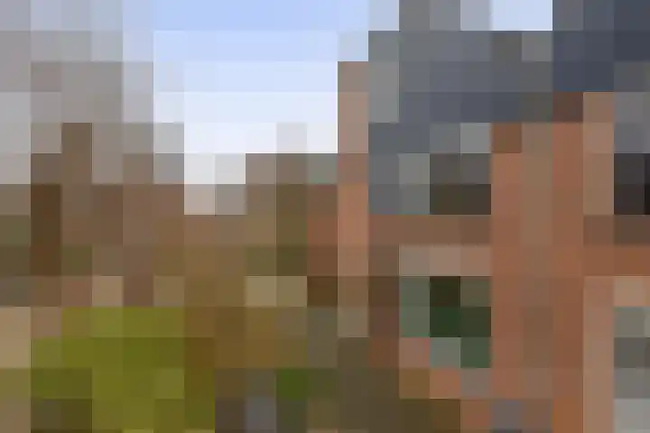 Stokroostuin 39 Zoetermeer thumbnail 6