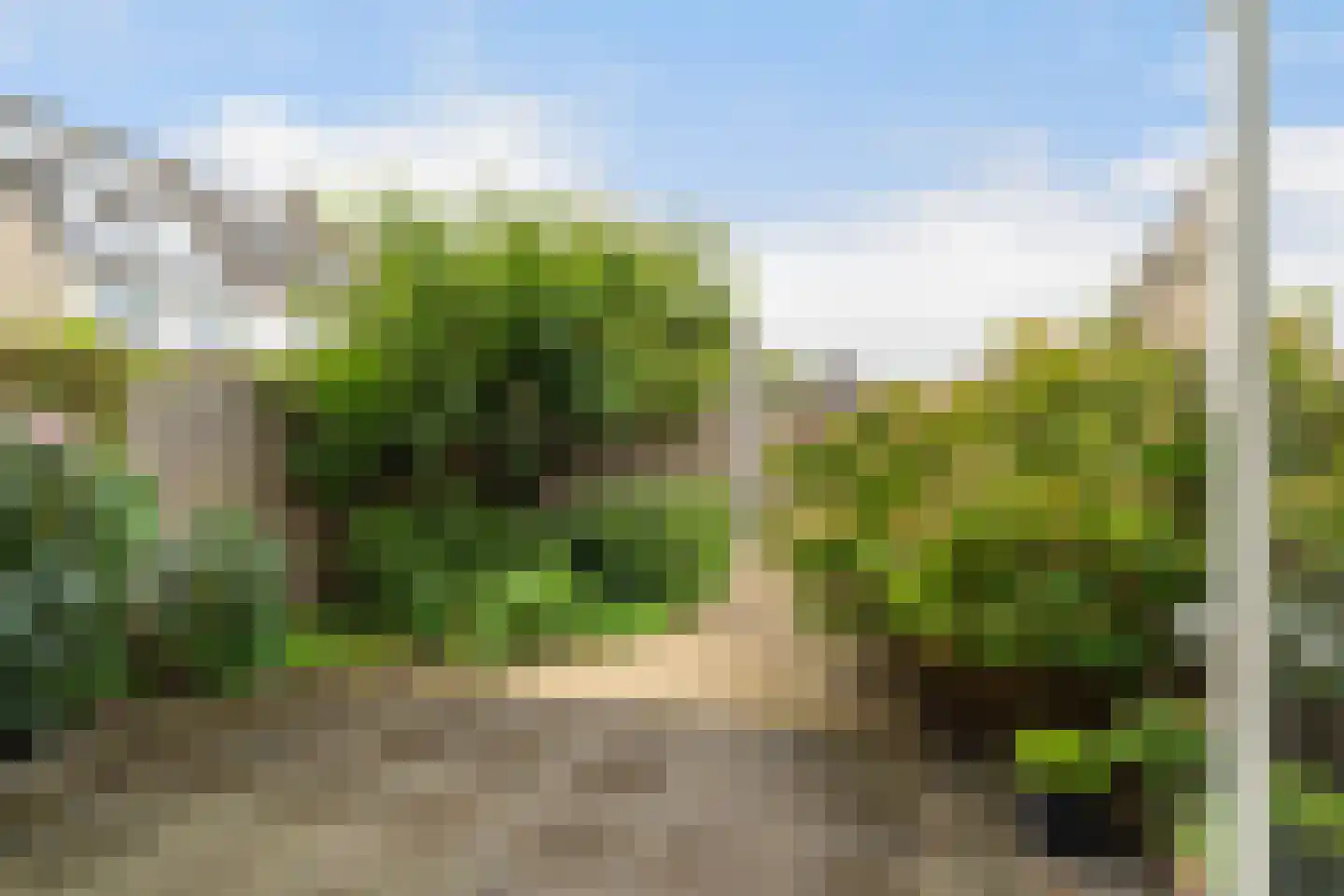 Stokroosweide 9 Woerden thumbnail 18