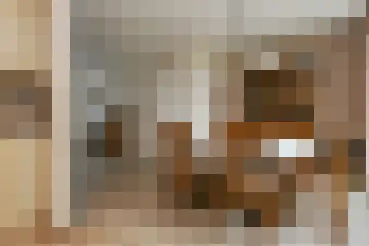 Stokserweg 10 Panningen thumbnail 10