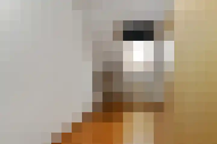 Stokserweg 10 Panningen thumbnail 15