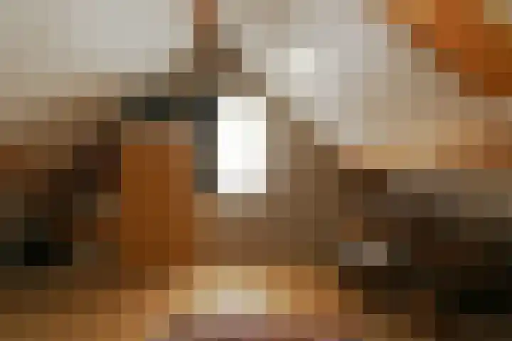 Stokserweg 10 Panningen thumbnail 18