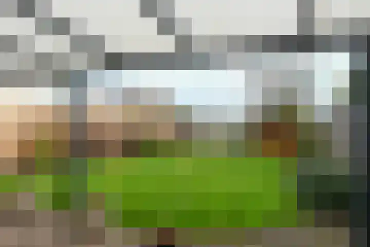 Stokserweg 10 Panningen thumbnail 22