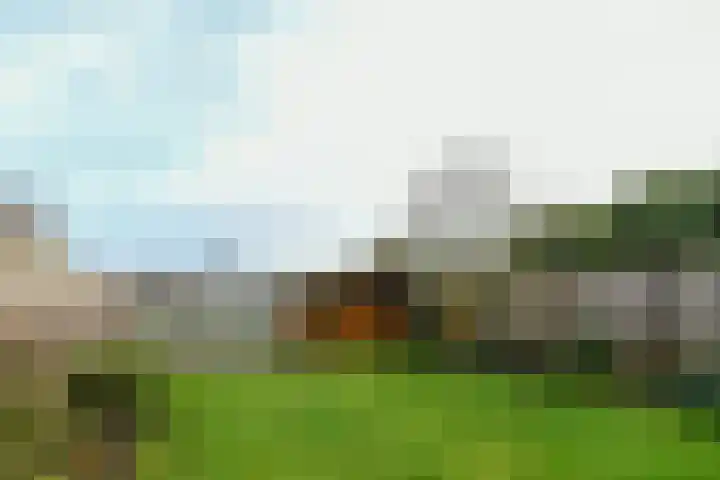 Stokserweg 10 Panningen thumbnail 24