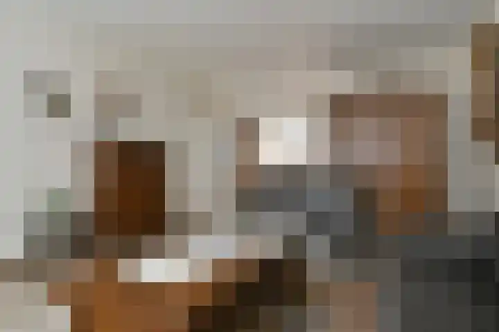 Stokserweg 10 Panningen thumbnail 6