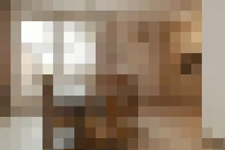 Stokserweg 10 Panningen thumbnail 8