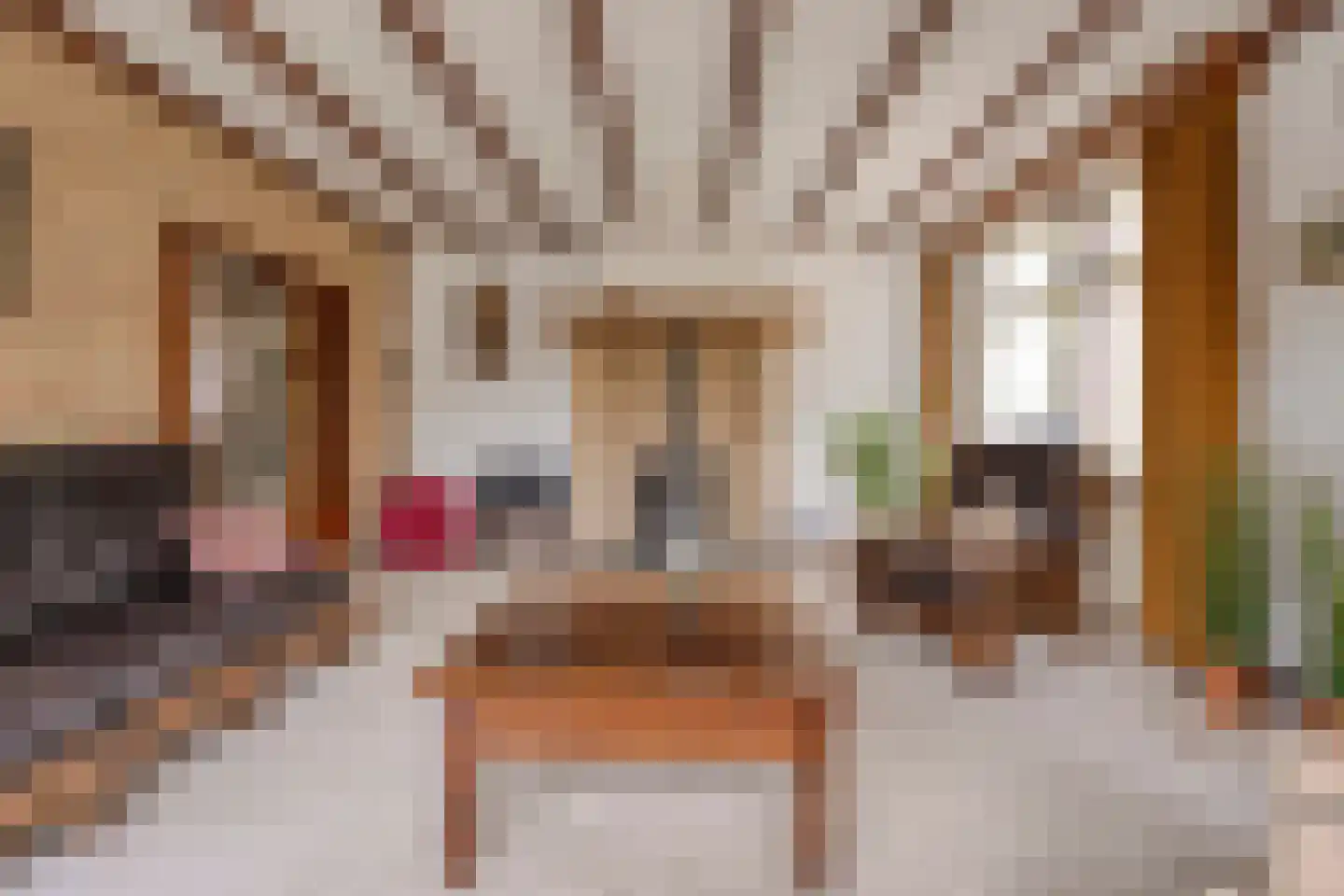 Stokske 2 Moergestel thumbnail 10