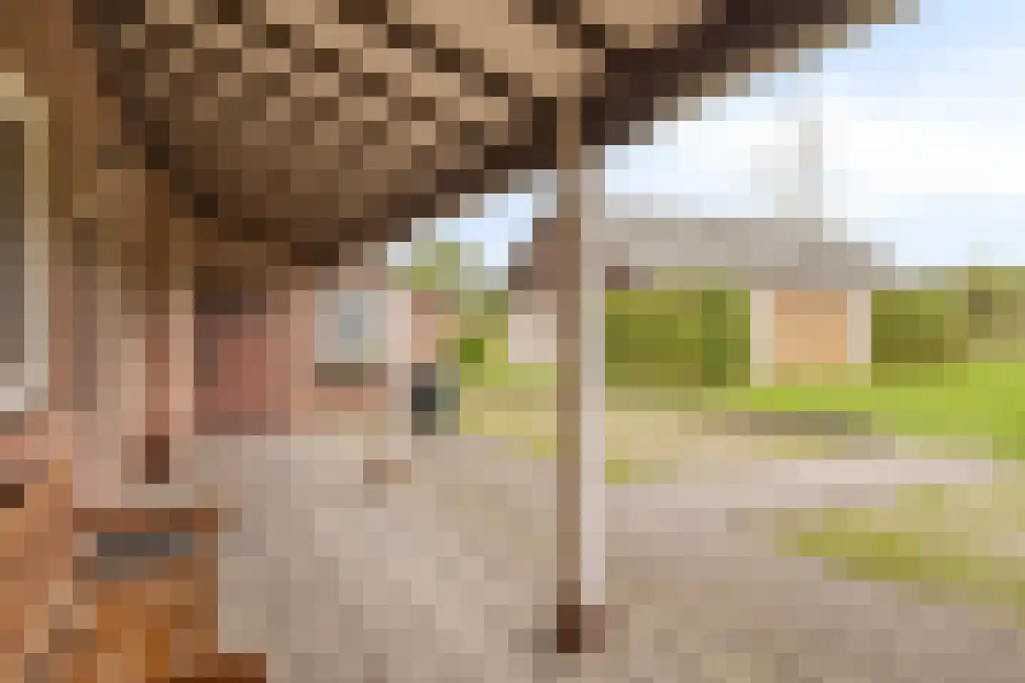 Stokske 2 Moergestel thumbnail 19