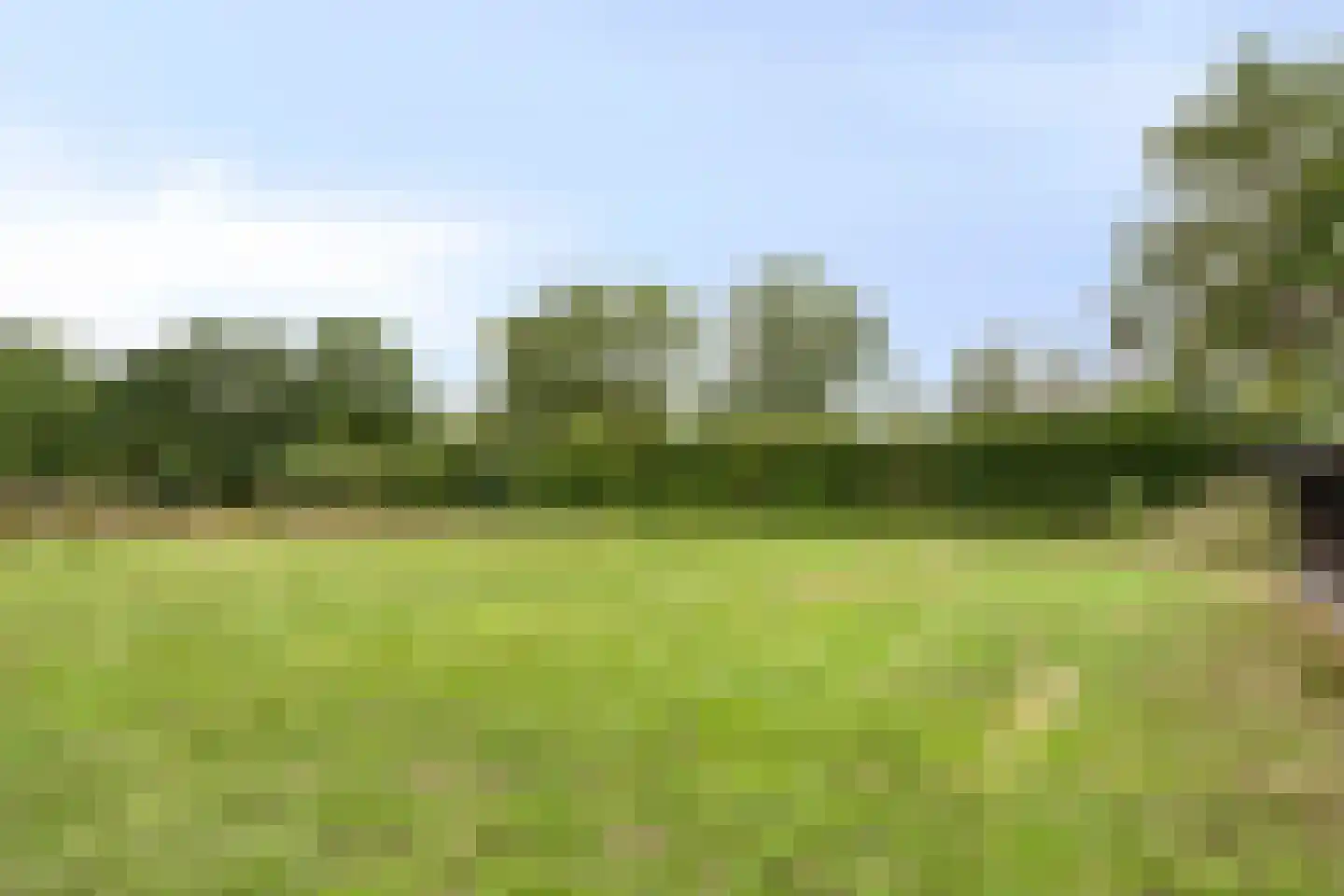 Stokske 2 Moergestel thumbnail 27