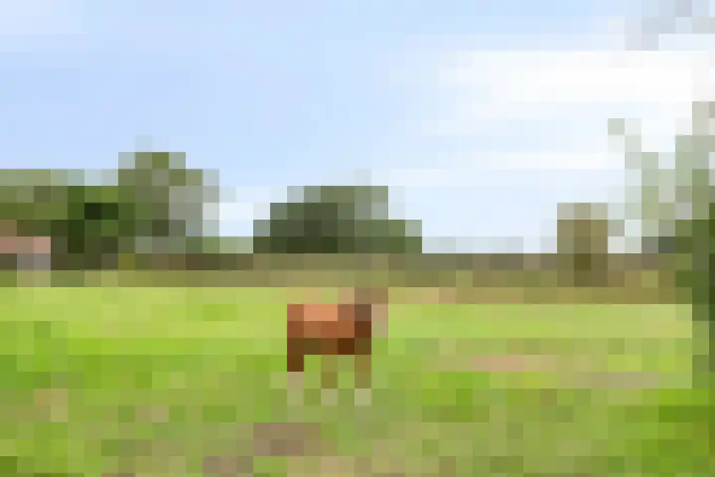 Stokske 2 Moergestel thumbnail 28