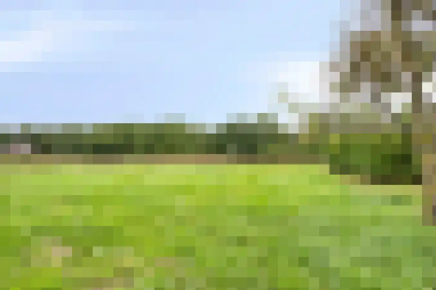 Stokske 2 Moergestel thumbnail 29
