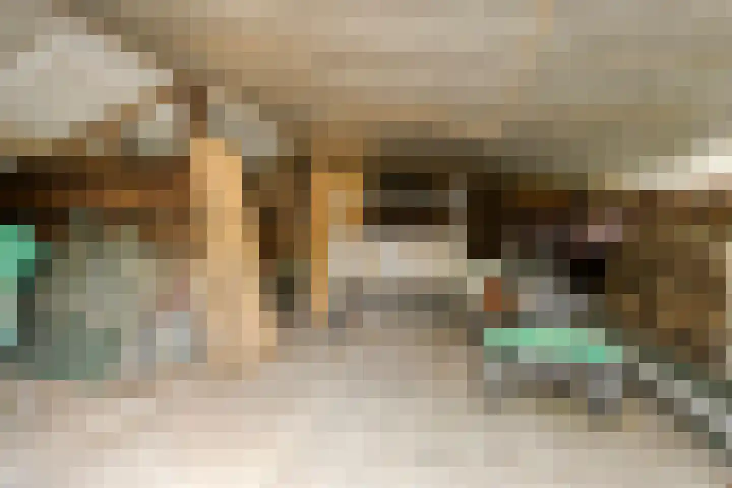 Stokske 2 Moergestel thumbnail 30