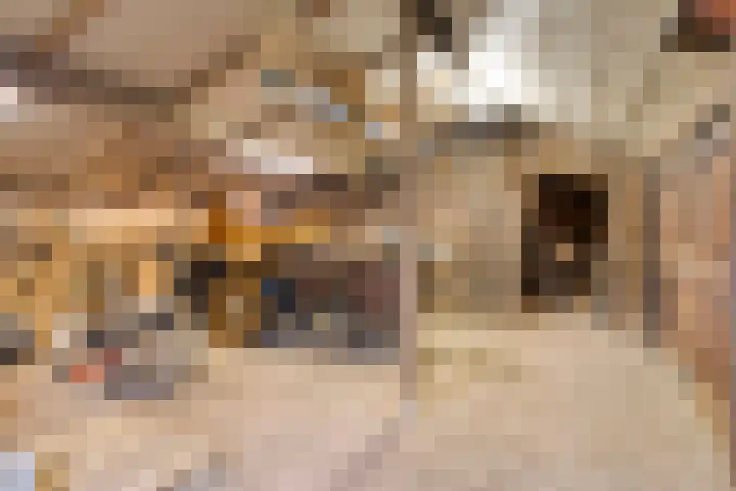 Stokske 2 Moergestel thumbnail 31