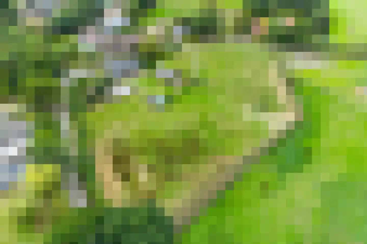 Stokske 2 Moergestel thumbnail 38