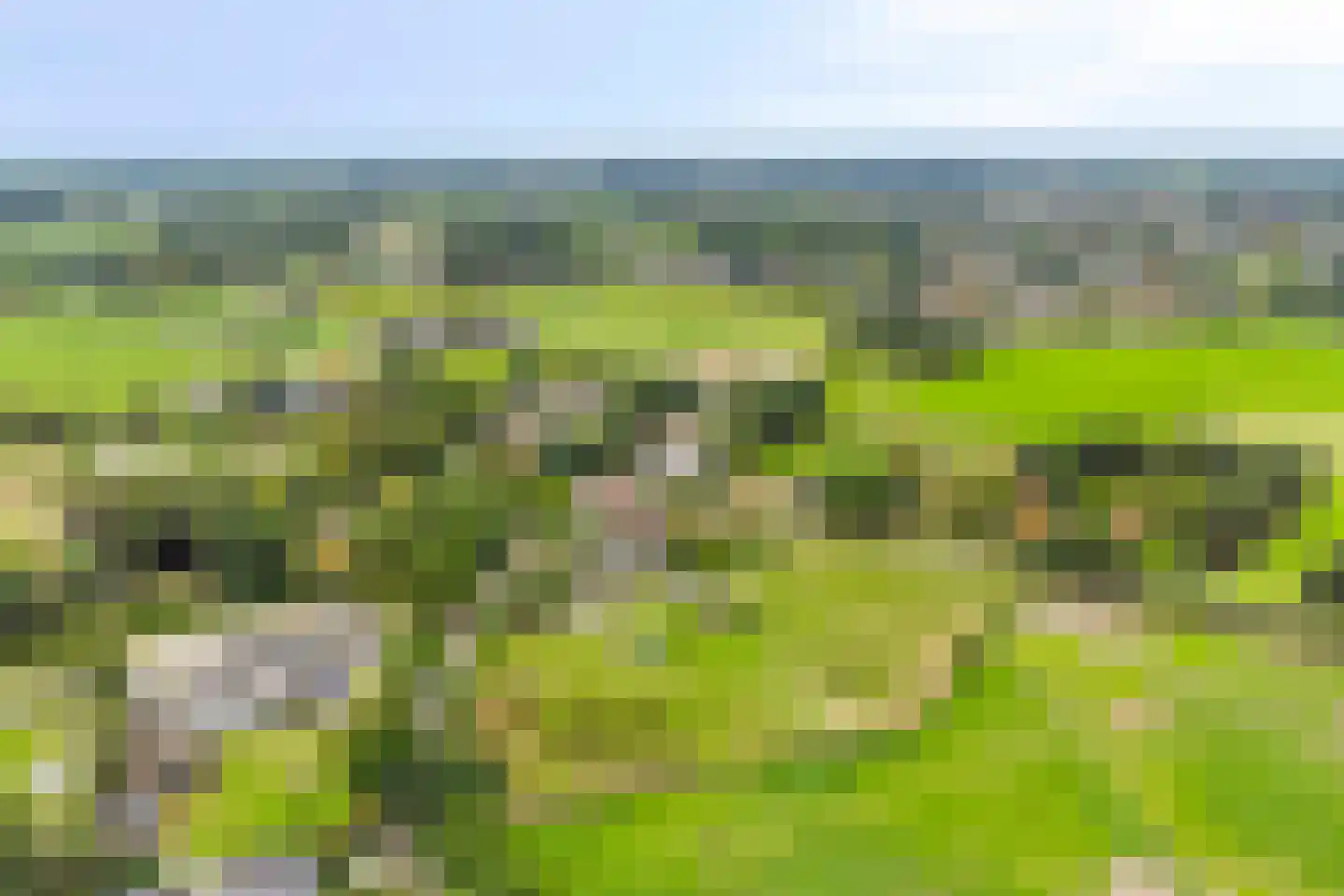 Stokske 2 Moergestel thumbnail 4