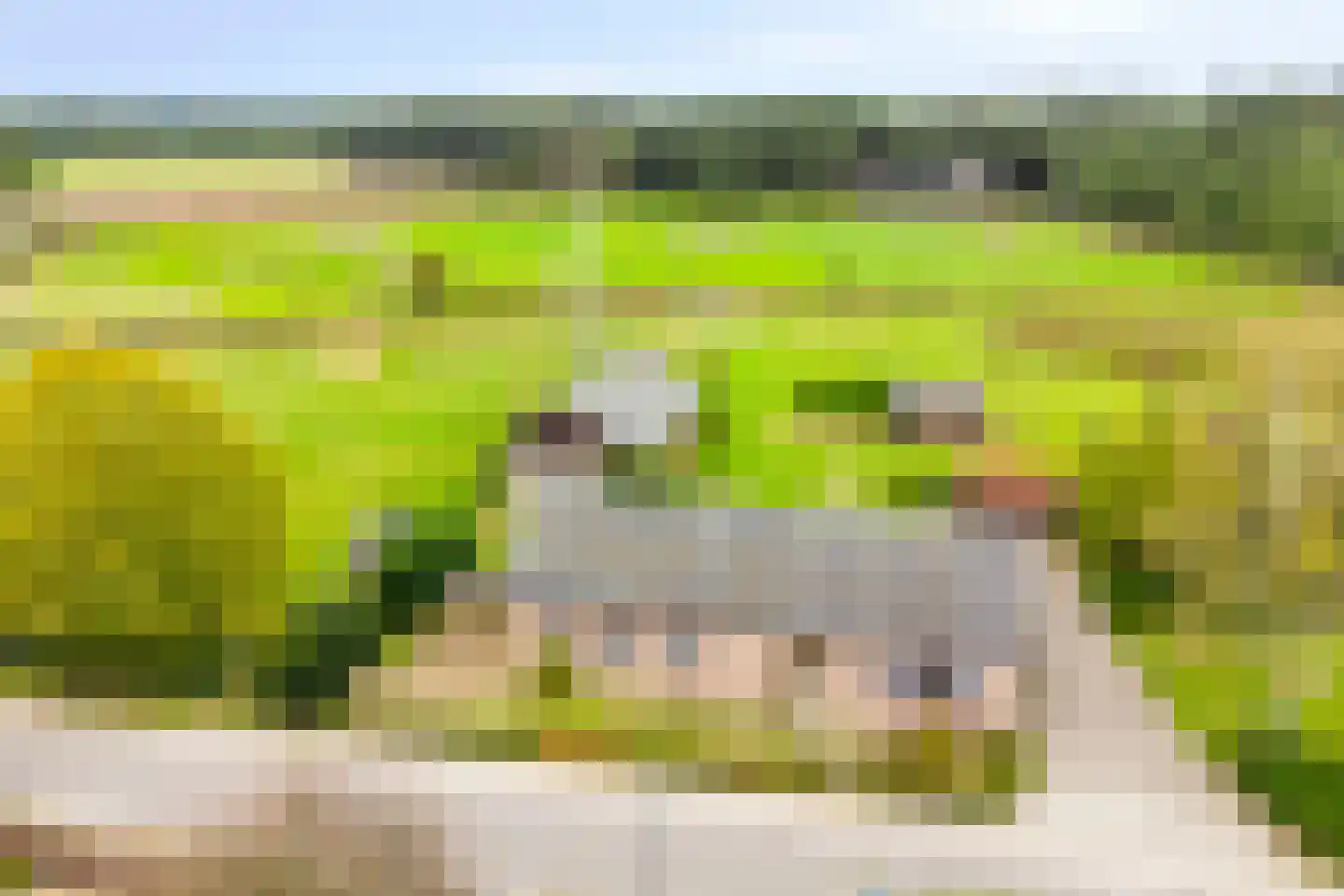 Stokske 2 Moergestel thumbnail 5