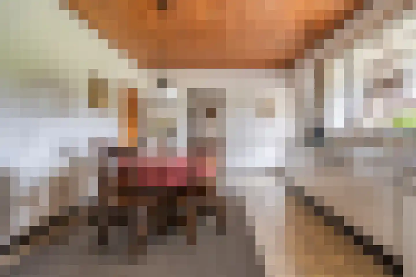 Stokske 2 Moergestel thumbnail 7