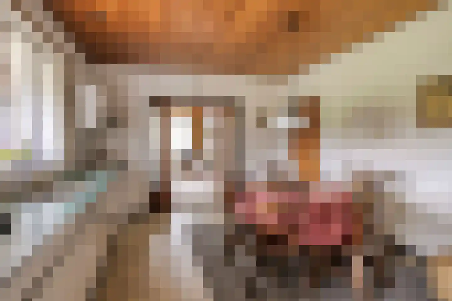 Stokske 2 Moergestel thumbnail 8