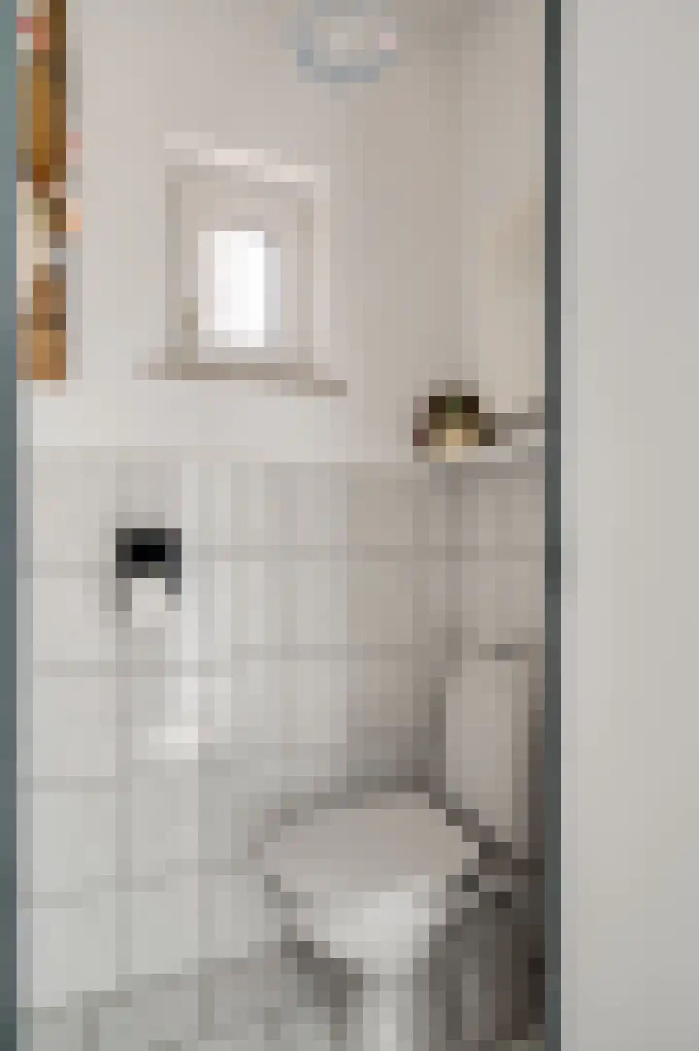 Stoktstraat 3 Horst thumbnail 16