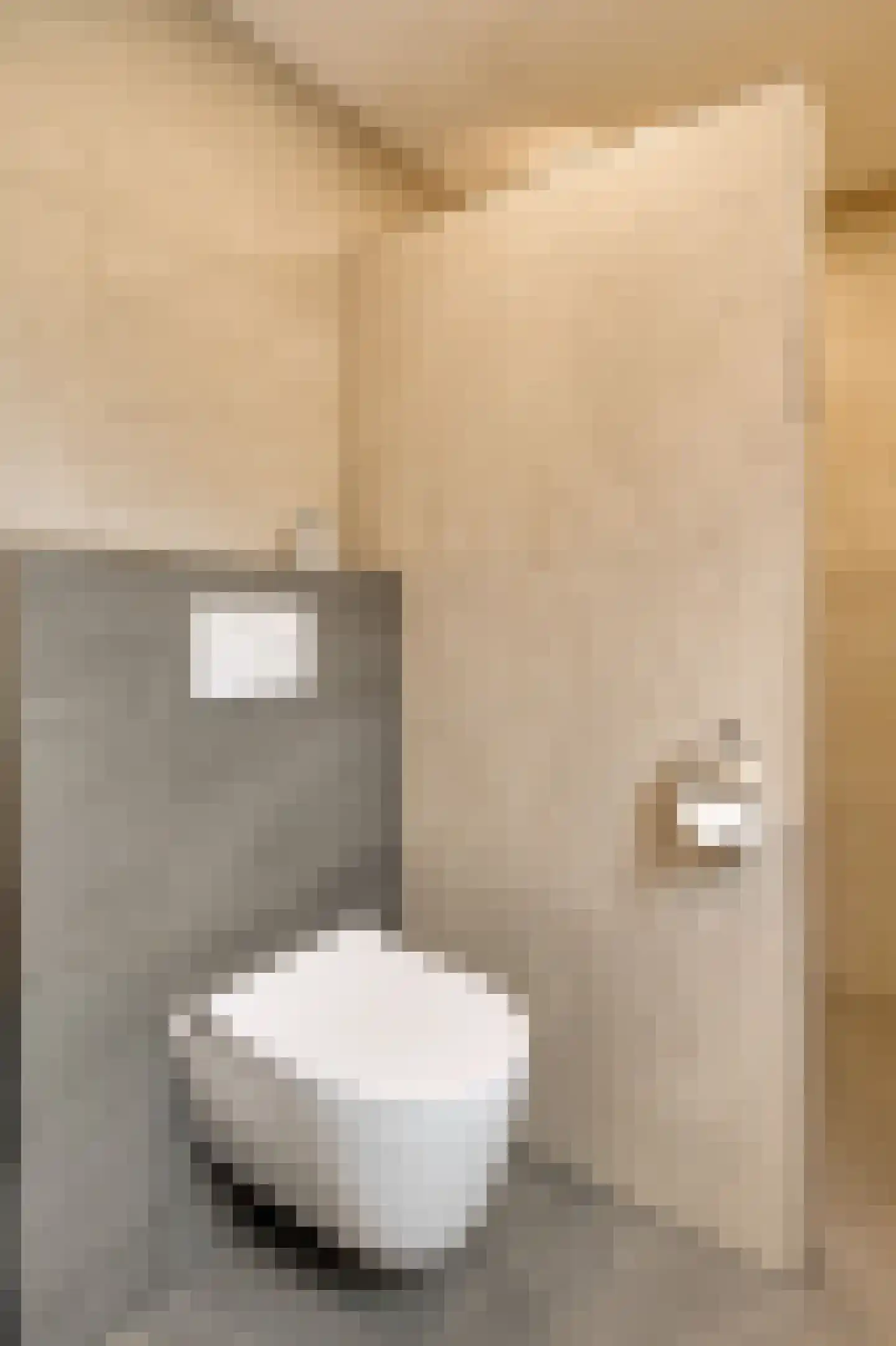 Stoktstraat 3 Horst thumbnail 31