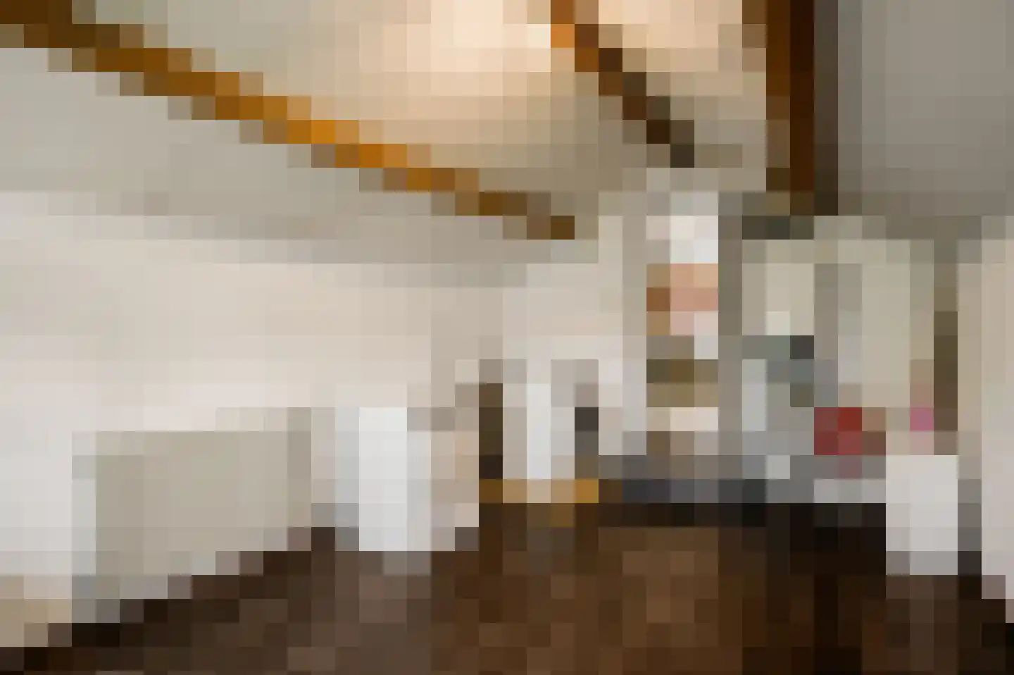 Stoktstraat 3 Horst thumbnail 42