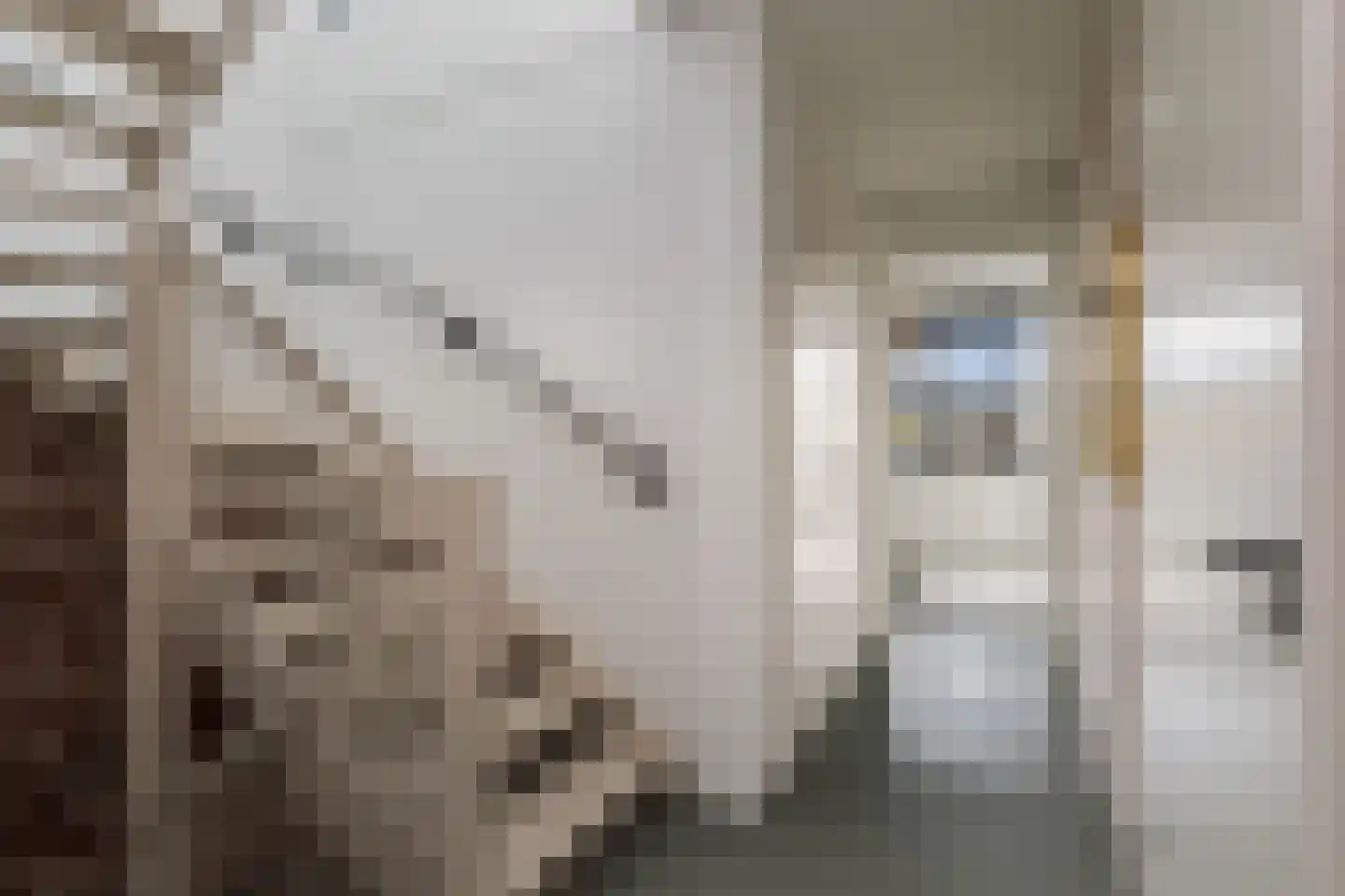 Stokvisstraat 2 Deventer thumbnail 30