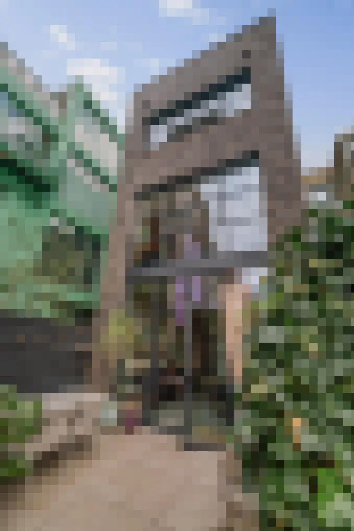 Stokvisstraat 2 Deventer thumbnail 39