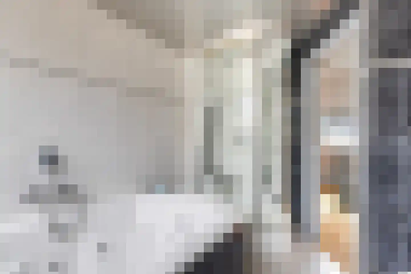 Stolberglaan 11 Apeldoorn thumbnail 26