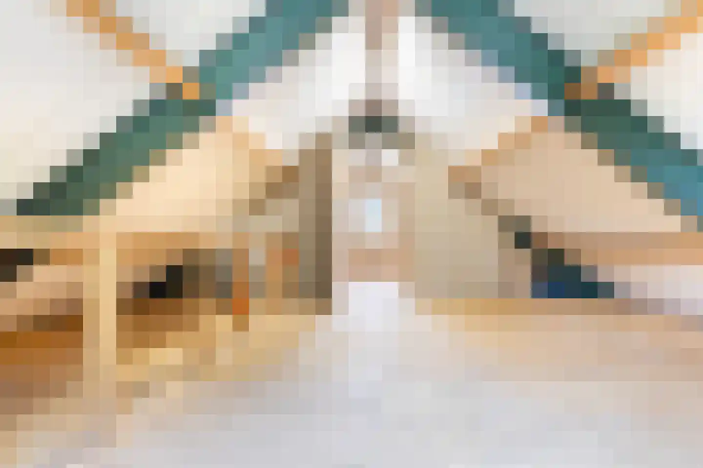 Stolberglaan 11 Apeldoorn thumbnail 37