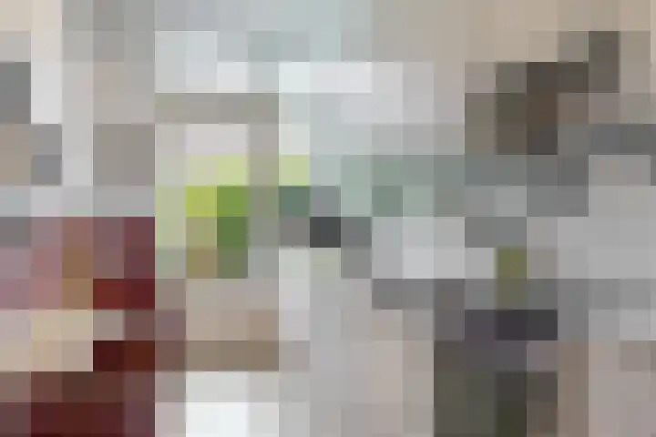 Stolberglaan 41 Utrecht thumbnail 11