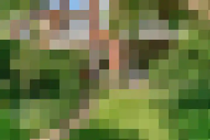 Stolberglaan 41 Utrecht thumbnail 17