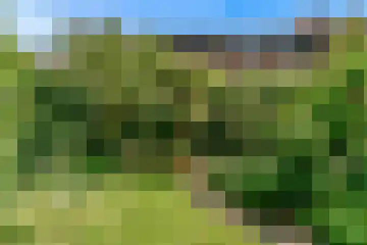 Stolberglaan 41 Utrecht thumbnail 18
