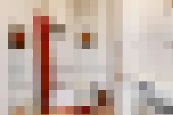 Stolberglaan 41 Utrecht thumbnail 36