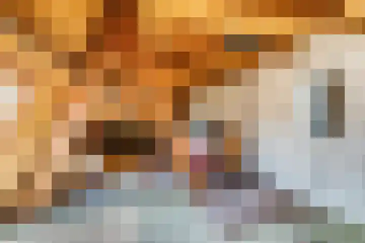 Stolberglaan 41 Utrecht thumbnail 43