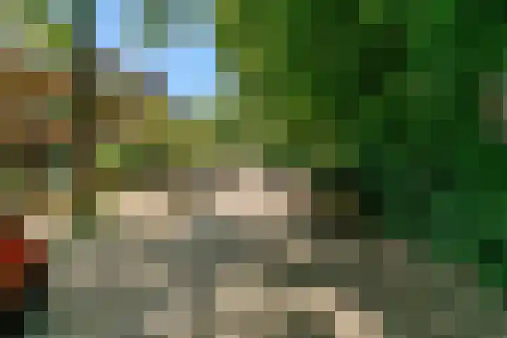 Stolberglaan 41 Utrecht thumbnail 49