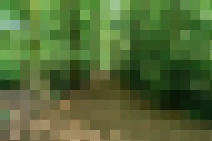 Stolberglaan 41 Utrecht thumbnail 51