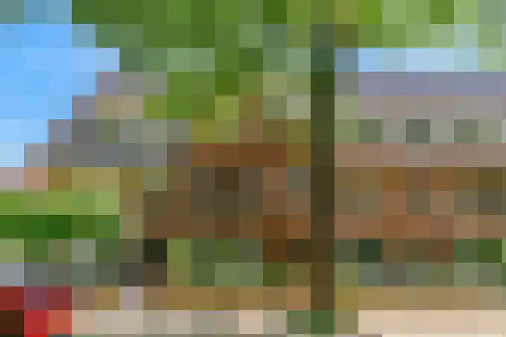 Stolberglaan 41 Utrecht thumbnail 63