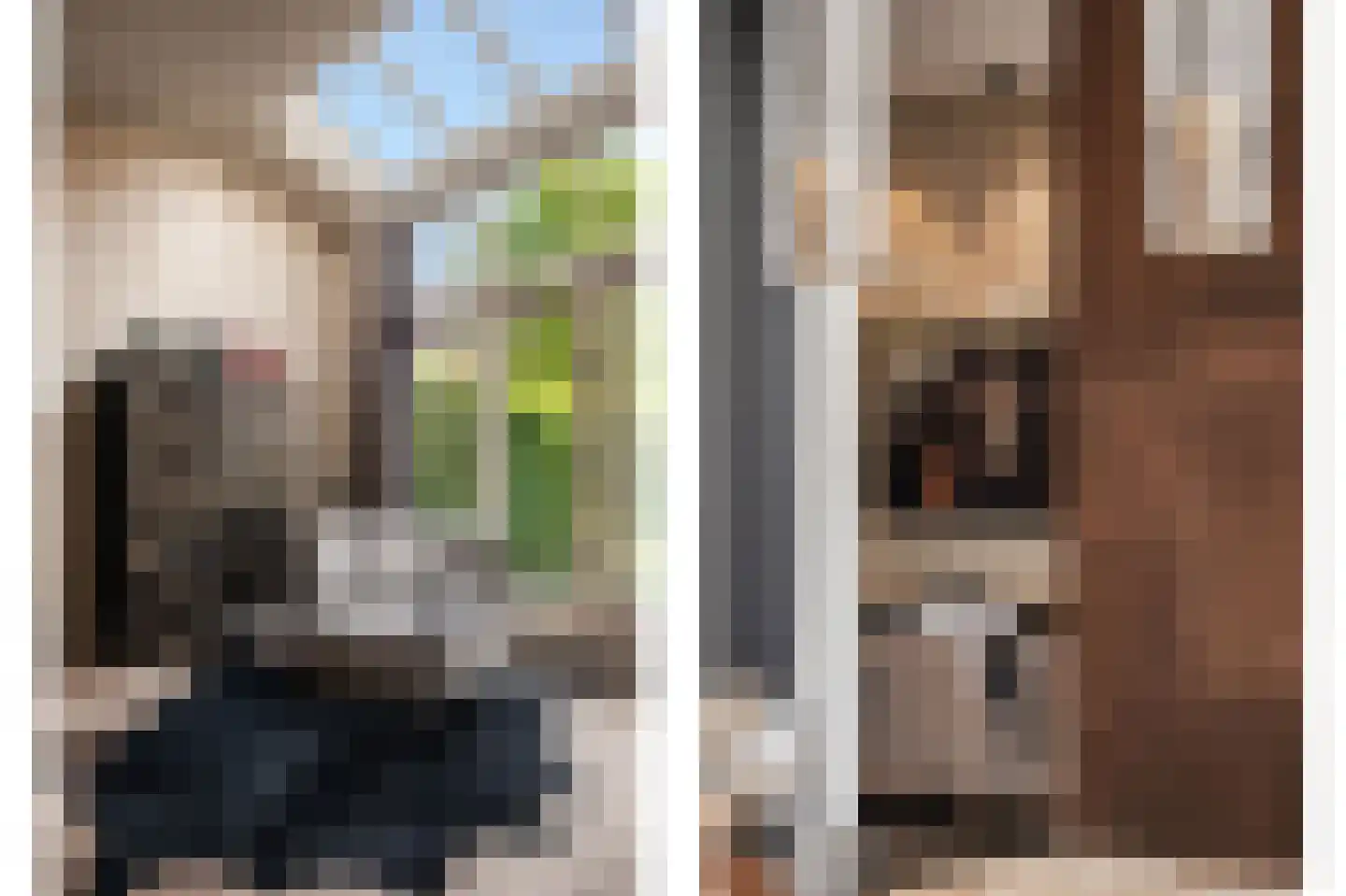 Stolbergstraat 6 Haarlem thumbnail 22