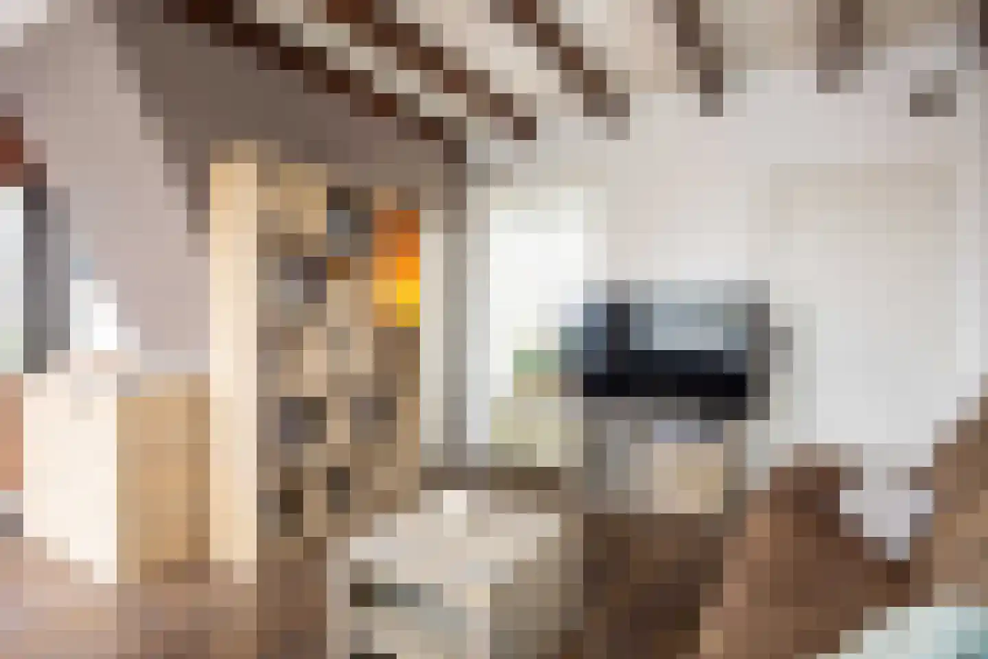 Stolderijweg 2 Wagenborgen thumbnail 16