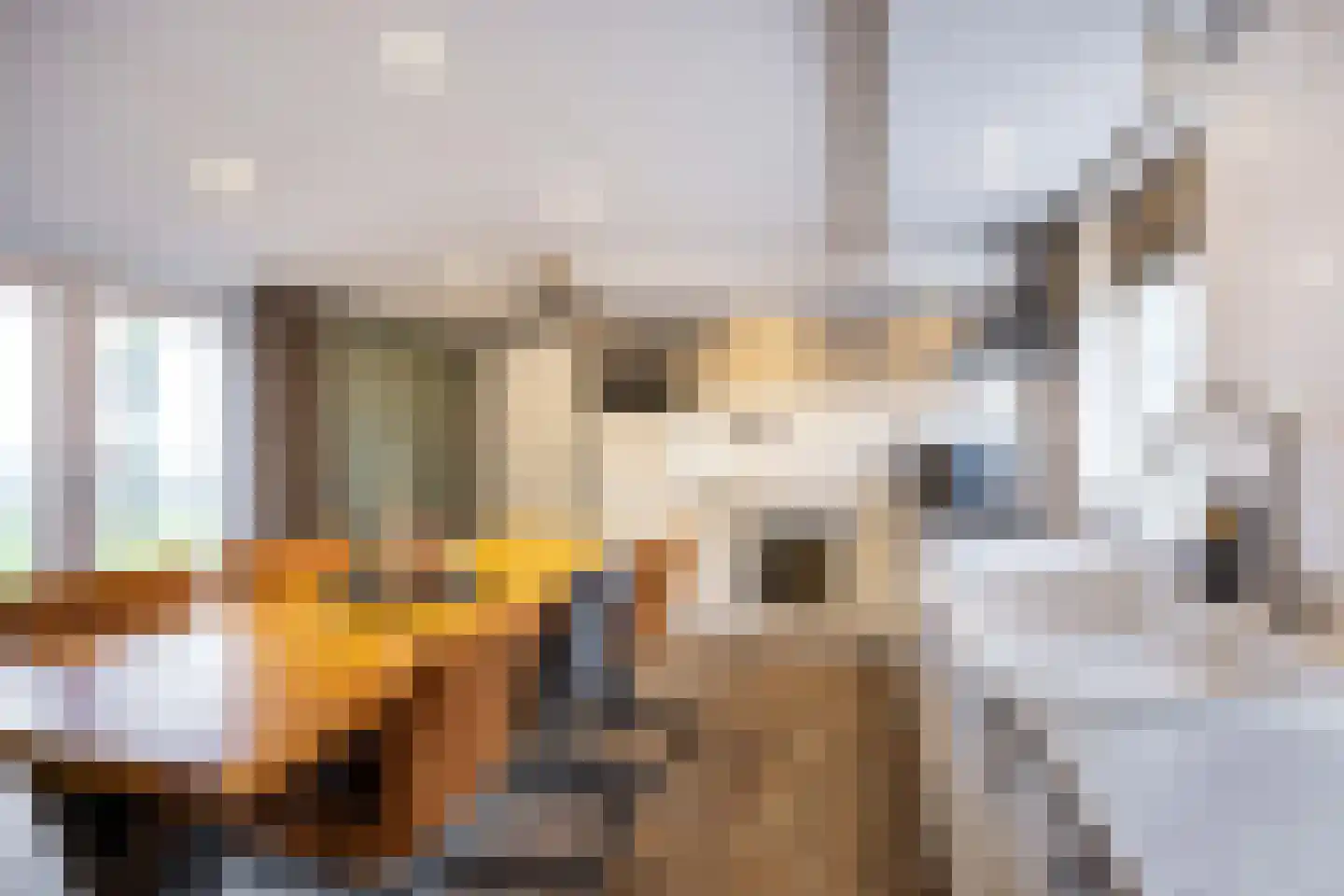 Stolderijweg 2 Wagenborgen thumbnail 26