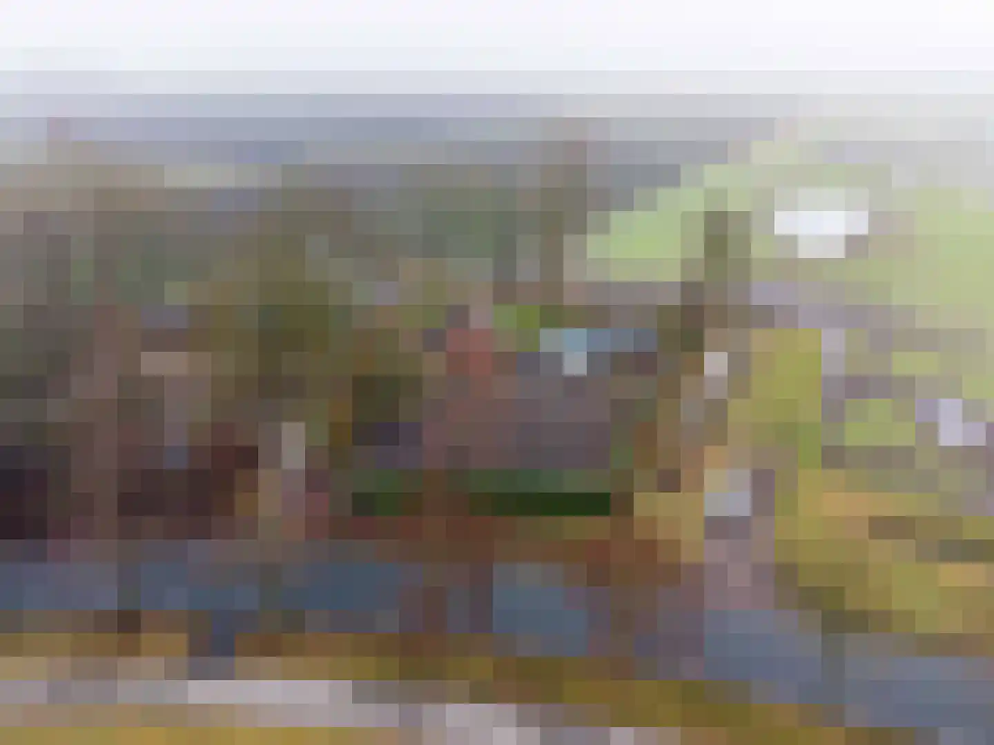 Stolderijweg 2 Wagenborgen thumbnail 50